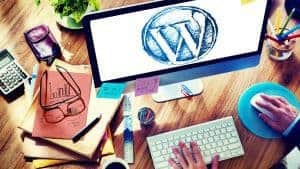 Premium WordPress Themes