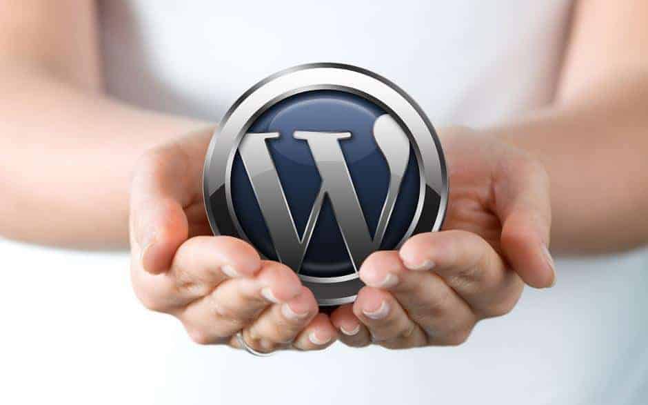 holdingWordPress_d WordPress Maintenance