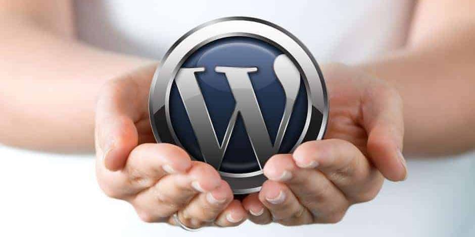 holdingWordPress_d WordPress Maintenance